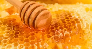 تسجيل دعم العسل